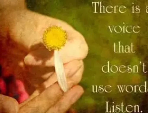 Engaging our (UnCommon) Senses